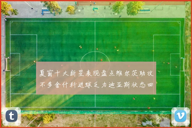 夏窗十大新星表现盘点维尔茨助攻不多舍什科进球乏力迪亚斯状态回暖
