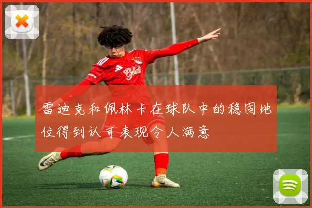 雷迪克和佩林卡在球队中的稳固地位得到认可表现令人满意