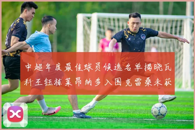 中超年度最佳球员候选名单揭晓瓦科王钰栋莱昂纳多入围克雷桑未获提名